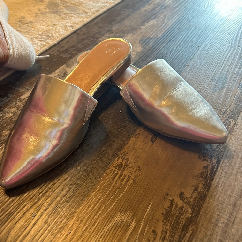 Silver mule slides